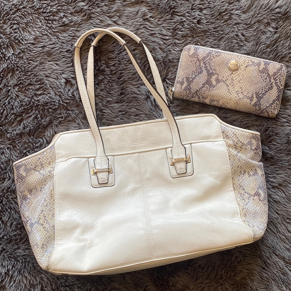 Coach Purse & Wallet Set